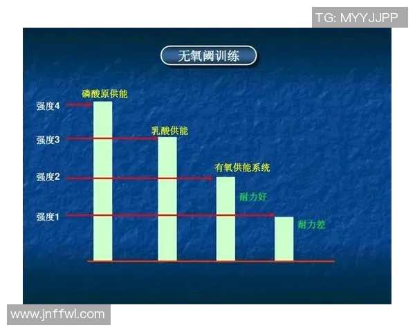 南京羽毛球队在全国锦标赛中的耐力表现分析与总结