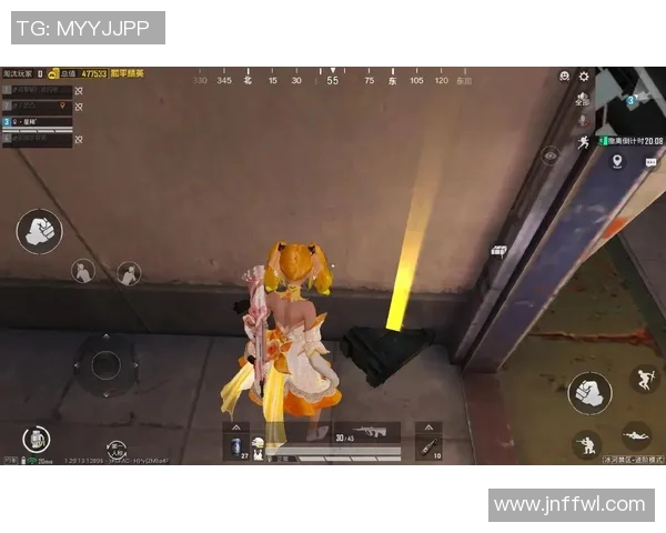 揭秘和平精英成功背后的故事与赵磊的独特见解